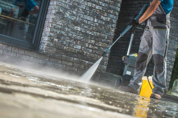 Best Graffiti Removal  in Hackleburg, AL